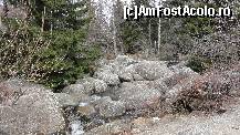 [P10] Zlatnite Mostove (The Golden Bridges) numit și ''râul de piatră'' (începe la altitudinea de cca 1350m până la 1500m), rezultatul unui fenomen natural.  » foto by Nasshu
 - 
<span class="allrVoted glyphicon glyphicon-heart hidden" id="av412400"></span>
<a class="m-l-10 hidden" id="sv412400" onclick="voting_Foto_DelVot(,412400,26117)" role="button">șterge vot <span class="glyphicon glyphicon-remove"></span></a>
<a id="v9412400" class=" c-red"  onclick="voting_Foto_SetVot(412400)" role="button"><span class="glyphicon glyphicon-heart-empty"></span> <b>LIKE</b> = Votează poza</a> <img class="hidden"  id="f412400W9" src="/imagini/loader.gif" border="0" /><span class="AjErrMes hidden" id="e412400ErM"></span>