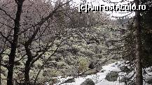 [P12] Zlatnite Mostove (The Golden Bridges)... încă nu sunt aurii, vara cred că e o plăcere să lenevești la soare încălzit la șale :)  » foto by Nasshu
 - 
<span class="allrVoted glyphicon glyphicon-heart hidden" id="av412413"></span>
<a class="m-l-10 hidden" id="sv412413" onclick="voting_Foto_DelVot(,412413,26117)" role="button">șterge vot <span class="glyphicon glyphicon-remove"></span></a>
<a id="v9412413" class=" c-red"  onclick="voting_Foto_SetVot(412413)" role="button"><span class="glyphicon glyphicon-heart-empty"></span> <b>LIKE</b> = Votează poza</a> <img class="hidden"  id="f412413W9" src="/imagini/loader.gif" border="0" /><span class="AjErrMes hidden" id="e412413ErM"></span>