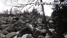 [P13] Zlatnite Mostove (The Golden Bridges) ..încă nu sunt aurii , vara cred că e o plăcere să lenevești la soare încălzit la șale :) » foto by Nasshu
 - 
<span class="allrVoted glyphicon glyphicon-heart hidden" id="av412422"></span>
<a class="m-l-10 hidden" id="sv412422" onclick="voting_Foto_DelVot(,412422,26117)" role="button">șterge vot <span class="glyphicon glyphicon-remove"></span></a>
<a id="v9412422" class=" c-red"  onclick="voting_Foto_SetVot(412422)" role="button"><span class="glyphicon glyphicon-heart-empty"></span> <b>LIKE</b> = Votează poza</a> <img class="hidden"  id="f412422W9" src="/imagini/loader.gif" border="0" /><span class="AjErrMes hidden" id="e412422ErM"></span>