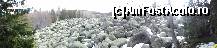 [P15] Pietre imense, sute de metri cubi de piatră...  » foto by Nasshu
 - 
<span class="allrVoted glyphicon glyphicon-heart hidden" id="av412427"></span>
<a class="m-l-10 hidden" id="sv412427" onclick="voting_Foto_DelVot(,412427,26117)" role="button">șterge vot <span class="glyphicon glyphicon-remove"></span></a>
<a id="v9412427" class=" c-red"  onclick="voting_Foto_SetVot(412427)" role="button"><span class="glyphicon glyphicon-heart-empty"></span> <b>LIKE</b> = Votează poza</a> <img class="hidden"  id="f412427W9" src="/imagini/loader.gif" border="0" /><span class="AjErrMes hidden" id="e412427ErM"></span>
