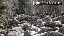 [P19] Aiciprintre zăpadă parcă se vede și puțin auriu...  » foto by Nasshu
 - 
<span class="allrVoted glyphicon glyphicon-heart hidden" id="av412431"></span>
<a class="m-l-10 hidden" id="sv412431" onclick="voting_Foto_DelVot(,412431,26117)" role="button">șterge vot <span class="glyphicon glyphicon-remove"></span></a>
<a id="v9412431" class=" c-red"  onclick="voting_Foto_SetVot(412431)" role="button"><span class="glyphicon glyphicon-heart-empty"></span> <b>LIKE</b> = Votează poza</a> <img class="hidden"  id="f412431W9" src="/imagini/loader.gif" border="0" /><span class="AjErrMes hidden" id="e412431ErM"></span>