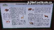 [P04] Informații despre fauna din zonă... am avut noroc nu m-am întâlnit cu ursul...  » foto by Nasshu
 - 
<span class="allrVoted glyphicon glyphicon-heart hidden" id="av412353"></span>
<a class="m-l-10 hidden" id="sv412353" onclick="voting_Foto_DelVot(,412353,26117)" role="button">șterge vot <span class="glyphicon glyphicon-remove"></span></a>
<a id="v9412353" class=" c-red"  onclick="voting_Foto_SetVot(412353)" role="button"><span class="glyphicon glyphicon-heart-empty"></span> <b>LIKE</b> = Votează poza</a> <img class="hidden"  id="f412353W9" src="/imagini/loader.gif" border="0" /><span class="AjErrMes hidden" id="e412353ErM"></span>