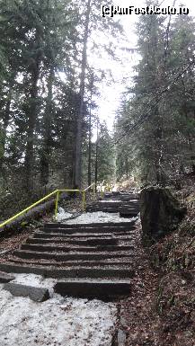 [P07] Traseul pentru ''pietre'' amenjat corespunzător pentru un urcuș ușor... zăpada iși face prezența chiar dacă la 10km distanță erau 18 grade.  » foto by Nasshu
 - 
<span class="allrVoted glyphicon glyphicon-heart hidden" id="av412377"></span>
<a class="m-l-10 hidden" id="sv412377" onclick="voting_Foto_DelVot(,412377,26117)" role="button">șterge vot <span class="glyphicon glyphicon-remove"></span></a>
<a id="v9412377" class=" c-red"  onclick="voting_Foto_SetVot(412377)" role="button"><span class="glyphicon glyphicon-heart-empty"></span> <b>LIKE</b> = Votează poza</a> <img class="hidden"  id="f412377W9" src="/imagini/loader.gif" border="0" /><span class="AjErrMes hidden" id="e412377ErM"></span>