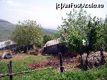 [P02]  -- <small>// FĂRĂ DESCRIERE</small> » foto by cristisch2003
 - 
<span class="allrVoted glyphicon glyphicon-heart hidden" id="av312831"></span>
<a class="m-l-10 hidden" id="sv312831" onclick="voting_Foto_DelVot(,312831,26152)" role="button">șterge vot <span class="glyphicon glyphicon-remove"></span></a>
<a id="v9312831" class=" c-red"  onclick="voting_Foto_SetVot(312831)" role="button"><span class="glyphicon glyphicon-heart-empty"></span> <b>LIKE</b> = Votează poza</a> <img class="hidden"  id="f312831W9" src="/imagini/loader.gif" border="0" /><span class="AjErrMes hidden" id="e312831ErM"></span>