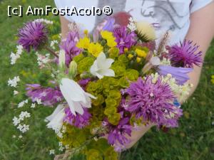 [P14] Flori de câmp culese în zona Năeni.  » foto by tata123 🔱
 - 
<span class="allrVoted glyphicon glyphicon-heart hidden" id="av863845"></span>
<a class="m-l-10 hidden" id="sv863845" onclick="voting_Foto_DelVot(,863845,26152)" role="button">șterge vot <span class="glyphicon glyphicon-remove"></span></a>
<a id="v9863845" class=" c-red"  onclick="voting_Foto_SetVot(863845)" role="button"><span class="glyphicon glyphicon-heart-empty"></span> <b>LIKE</b> = Votează poza</a> <img class="hidden"  id="f863845W9" src="/imagini/loader.gif" border="0" /><span class="AjErrMes hidden" id="e863845ErM"></span>