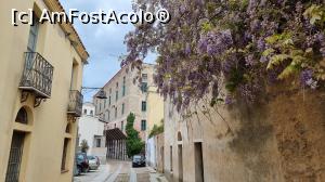 [P22] Străduțele din centrul vechi, Nuoro » foto by pepsi70ro
 - 
<span class="allrVoted glyphicon glyphicon-heart hidden" id="av1323263"></span>
<a class="m-l-10 hidden" id="sv1323263" onclick="voting_Foto_DelVot(,1323263,26168)" role="button">șterge vot <span class="glyphicon glyphicon-remove"></span></a>
<a id="v91323263" class=" c-red"  onclick="voting_Foto_SetVot(1323263)" role="button"><span class="glyphicon glyphicon-heart-empty"></span> <b>LIKE</b> = Votează poza</a> <img class="hidden"  id="f1323263W9" src="/imagini/loader.gif" border="0" /><span class="AjErrMes hidden" id="e1323263ErM"></span>