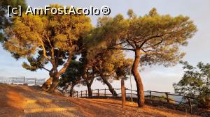[P05] Parco di Colle Sant Onofrio » foto by pepsi70ro
 - 
<span class="allrVoted glyphicon glyphicon-heart hidden" id="av1323246"></span>
<a class="m-l-10 hidden" id="sv1323246" onclick="voting_Foto_DelVot(,1323246,26168)" role="button">șterge vot <span class="glyphicon glyphicon-remove"></span></a>
<a id="v91323246" class=" c-red"  onclick="voting_Foto_SetVot(1323246)" role="button"><span class="glyphicon glyphicon-heart-empty"></span> <b>LIKE</b> = Votează poza</a> <img class="hidden"  id="f1323246W9" src="/imagini/loader.gif" border="0" /><span class="AjErrMes hidden" id="e1323246ErM"></span>