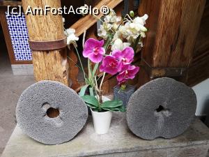 [P34] Două pietre de măcinat recuperate din vechea bucătărie a casei, expuse acum în patio » foto by crismis
 - 
<span class="allrVoted glyphicon glyphicon-heart hidden" id="av1147292"></span>
<a class="m-l-10 hidden" id="sv1147292" onclick="voting_Foto_DelVot(,1147292,26169)" role="button">șterge vot <span class="glyphicon glyphicon-remove"></span></a>
<a id="v91147292" class=" c-red"  onclick="voting_Foto_SetVot(1147292)" role="button"><span class="glyphicon glyphicon-heart-empty"></span> <b>LIKE</b> = Votează poza</a> <img class="hidden"  id="f1147292W9" src="/imagini/loader.gif" border="0" /><span class="AjErrMes hidden" id="e1147292ErM"></span>