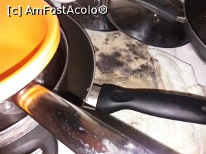 [P22] Mucegaiul la el acasa » foto by vulpe mihaela
 - 
<span class="allrVoted glyphicon glyphicon-heart hidden" id="av1148950"></span>
<a class="m-l-10 hidden" id="sv1148950" onclick="voting_Foto_DelVot(,1148950,26192)" role="button">șterge vot <span class="glyphicon glyphicon-remove"></span></a>
<a id="v91148950" class=" c-red"  onclick="voting_Foto_SetVot(1148950)" role="button"><span class="glyphicon glyphicon-heart-empty"></span> <b>LIKE</b> = Votează poza</a> <img class="hidden"  id="f1148950W9" src="/imagini/loader.gif" border="0" /><span class="AjErrMes hidden" id="e1148950ErM"></span>