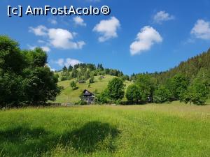 [P01] Am ajuns la Moieciu de Sus într-o zi frumoasă din luna iunie. » foto by Floryn81
 - 
<span class="allrVoted glyphicon glyphicon-heart hidden" id="av1215714"></span>
<a class="m-l-10 hidden" id="sv1215714" onclick="voting_Foto_DelVot(,1215714,26205)" role="button">șterge vot <span class="glyphicon glyphicon-remove"></span></a>
<a id="v91215714" class=" c-red"  onclick="voting_Foto_SetVot(1215714)" role="button"><span class="glyphicon glyphicon-heart-empty"></span> <b>LIKE</b> = Votează poza</a> <img class="hidden"  id="f1215714W9" src="/imagini/loader.gif" border="0" /><span class="AjErrMes hidden" id="e1215714ErM"></span>