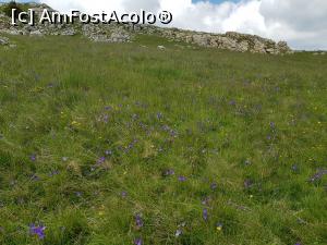 [P19] Peisaje din munții Bucegi. » foto by Floryn81
 - 
<span class="allrVoted glyphicon glyphicon-heart hidden" id="av1215732"></span>
<a class="m-l-10 hidden" id="sv1215732" onclick="voting_Foto_DelVot(,1215732,26205)" role="button">șterge vot <span class="glyphicon glyphicon-remove"></span></a>
<a id="v91215732" class=" c-red"  onclick="voting_Foto_SetVot(1215732)" role="button"><span class="glyphicon glyphicon-heart-empty"></span> <b>LIKE</b> = Votează poza</a> <img class="hidden"  id="f1215732W9" src="/imagini/loader.gif" border="0" /><span class="AjErrMes hidden" id="e1215732ErM"></span>