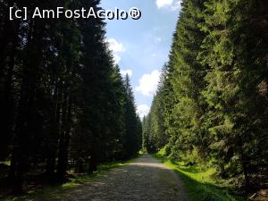 [P02] La pas pe drumul forestier de pe valea Bângăleasa. » foto by Floryn81
 - 
<span class="allrVoted glyphicon glyphicon-heart hidden" id="av1215715"></span>
<a class="m-l-10 hidden" id="sv1215715" onclick="voting_Foto_DelVot(,1215715,26205)" role="button">șterge vot <span class="glyphicon glyphicon-remove"></span></a>
<a id="v91215715" class=" c-red"  onclick="voting_Foto_SetVot(1215715)" role="button"><span class="glyphicon glyphicon-heart-empty"></span> <b>LIKE</b> = Votează poza</a> <img class="hidden"  id="f1215715W9" src="/imagini/loader.gif" border="0" /><span class="AjErrMes hidden" id="e1215715ErM"></span>