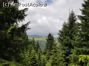 [P06] Printre copaci se zărea golul alpin. Nu mai aveam chiar mult de urcat. » foto by Floryn81
 - 
<span class="allrVoted glyphicon glyphicon-heart hidden" id="av1215719"></span>
<a class="m-l-10 hidden" id="sv1215719" onclick="voting_Foto_DelVot(,1215719,26205)" role="button">șterge vot <span class="glyphicon glyphicon-remove"></span></a>
<a id="v91215719" class=" c-red"  onclick="voting_Foto_SetVot(1215719)" role="button"><span class="glyphicon glyphicon-heart-empty"></span> <b>LIKE</b> = Votează poza</a> <img class="hidden"  id="f1215719W9" src="/imagini/loader.gif" border="0" /><span class="AjErrMes hidden" id="e1215719ErM"></span>