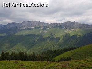 [P08] De pe Bucșa se deschid priveliști impresionante către Bucegi. » foto by Floryn81
 - 
<span class="allrVoted glyphicon glyphicon-heart hidden" id="av1215721"></span>
<a class="m-l-10 hidden" id="sv1215721" onclick="voting_Foto_DelVot(,1215721,26205)" role="button">șterge vot <span class="glyphicon glyphicon-remove"></span></a>
<a id="v91215721" class=" c-red"  onclick="voting_Foto_SetVot(1215721)" role="button"><span class="glyphicon glyphicon-heart-empty"></span> <b>LIKE</b> = Votează poza</a> <img class="hidden"  id="f1215721W9" src="/imagini/loader.gif" border="0" /><span class="AjErrMes hidden" id="e1215721ErM"></span>