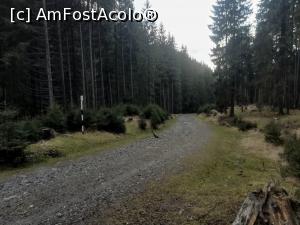 [P34] Am ajuns pe drumul forestier spre Valea Bângăleasa » foto by Mika
 - 
<span class="allrVoted glyphicon glyphicon-heart hidden" id="av1210132"></span>
<a class="m-l-10 hidden" id="sv1210132" onclick="voting_Foto_DelVot(,1210132,26205)" role="button">șterge vot <span class="glyphicon glyphicon-remove"></span></a>
<a id="v91210132" class=" c-red"  onclick="voting_Foto_SetVot(1210132)" role="button"><span class="glyphicon glyphicon-heart-empty"></span> <b>LIKE</b> = Votează poza</a> <img class="hidden"  id="f1210132W9" src="/imagini/loader.gif" border="0" /><span class="AjErrMes hidden" id="e1210132ErM"></span>
