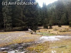 [P38] Valea Bângăleasa » foto by Mika
 - 
<span class="allrVoted glyphicon glyphicon-heart hidden" id="av1210136"></span>
<a class="m-l-10 hidden" id="sv1210136" onclick="voting_Foto_DelVot(,1210136,26205)" role="button">șterge vot <span class="glyphicon glyphicon-remove"></span></a>
<a id="v91210136" class=" c-red"  onclick="voting_Foto_SetVot(1210136)" role="button"><span class="glyphicon glyphicon-heart-empty"></span> <b>LIKE</b> = Votează poza</a> <img class="hidden"  id="f1210136W9" src="/imagini/loader.gif" border="0" /><span class="AjErrMes hidden" id="e1210136ErM"></span>