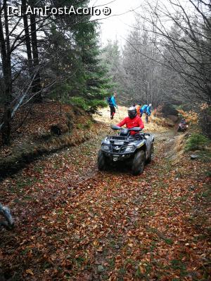 [P29] Cu ATV-ul prin pădure.  » foto by Mika
 - 
<span class="allrVoted glyphicon glyphicon-heart hidden" id="av1149996"></span>
<a class="m-l-10 hidden" id="sv1149996" onclick="voting_Foto_DelVot(,1149996,26205)" role="button">șterge vot <span class="glyphicon glyphicon-remove"></span></a>
<a id="v91149996" class=" c-red"  onclick="voting_Foto_SetVot(1149996)" role="button"><span class="glyphicon glyphicon-heart-empty"></span> <b>LIKE</b> = Votează poza</a> <img class="hidden"  id="f1149996W9" src="/imagini/loader.gif" border="0" /><span class="AjErrMes hidden" id="e1149996ErM"></span>