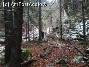 [P02] Spre Vârful Santilia Mare pe Valea Crovului » foto by Mika
 - 
<span class="allrVoted glyphicon glyphicon-heart hidden" id="av1161656"></span>
<a class="m-l-10 hidden" id="sv1161656" onclick="voting_Foto_DelVot(,1161656,26205)" role="button">șterge vot <span class="glyphicon glyphicon-remove"></span></a>
<a id="v91161656" class=" c-red"  onclick="voting_Foto_SetVot(1161656)" role="button"><span class="glyphicon glyphicon-heart-empty"></span> <b>LIKE</b> = Votează poza</a> <img class="hidden"  id="f1161656W9" src="/imagini/loader.gif" border="0" /><span class="AjErrMes hidden" id="e1161656ErM"></span>