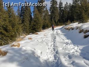 [P26] In golul alpin, pe o poriune frumoasă cu puțină zăpadă » foto by Mika
 - 
<span class="allrVoted glyphicon glyphicon-heart hidden" id="av1161680"></span>
<a class="m-l-10 hidden" id="sv1161680" onclick="voting_Foto_DelVot(,1161680,26205)" role="button">șterge vot <span class="glyphicon glyphicon-remove"></span></a>
<a id="v91161680" class=" c-red"  onclick="voting_Foto_SetVot(1161680)" role="button"><span class="glyphicon glyphicon-heart-empty"></span> <b>LIKE</b> = Votează poza</a> <img class="hidden"  id="f1161680W9" src="/imagini/loader.gif" border="0" /><span class="AjErrMes hidden" id="e1161680ErM"></span>