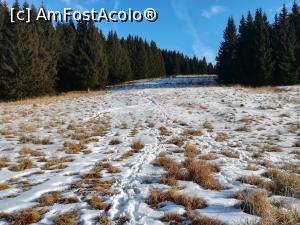 [P30] Am ajuns intr-o poiană frumoasă pe care am traversat-o cu mare plăcere, bucuroși că am scăpat de hățiș. » foto by Mika
 - 
<span class="allrVoted glyphicon glyphicon-heart hidden" id="av1161684"></span>
<a class="m-l-10 hidden" id="sv1161684" onclick="voting_Foto_DelVot(,1161684,26205)" role="button">șterge vot <span class="glyphicon glyphicon-remove"></span></a>
<a id="v91161684" class=" c-red"  onclick="voting_Foto_SetVot(1161684)" role="button"><span class="glyphicon glyphicon-heart-empty"></span> <b>LIKE</b> = Votează poza</a> <img class="hidden"  id="f1161684W9" src="/imagini/loader.gif" border="0" /><span class="AjErrMes hidden" id="e1161684ErM"></span>