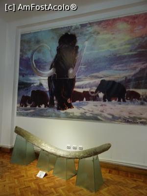 [P08] Fildeșul de mamut descoperit la Doicești.  » foto by tata123 🔱
 - 
<span class="allrVoted glyphicon glyphicon-heart hidden" id="av960848"></span>
<a class="m-l-10 hidden" id="sv960848" onclick="voting_Foto_DelVot(,960848,26208)" role="button">șterge vot <span class="glyphicon glyphicon-remove"></span></a>
<a id="v9960848" class=" c-red"  onclick="voting_Foto_SetVot(960848)" role="button"><span class="glyphicon glyphicon-heart-empty"></span> <b>LIKE</b> = Votează poza</a> <img class="hidden"  id="f960848W9" src="/imagini/loader.gif" border="0" /><span class="AjErrMes hidden" id="e960848ErM"></span>