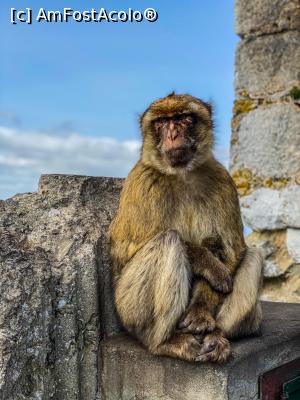 [P10]  -- <small>// FĂRĂ DESCRIERE</small> » foto by viorelgeorgescu
 - 
<span class="allrVoted glyphicon glyphicon-heart hidden" id="av1151009"></span>
<a class="m-l-10 hidden" id="sv1151009" onclick="voting_Foto_DelVot(,1151009,26222)" role="button">șterge vot <span class="glyphicon glyphicon-remove"></span></a>
<a id="v91151009" class=" c-red"  onclick="voting_Foto_SetVot(1151009)" role="button"><span class="glyphicon glyphicon-heart-empty"></span> <b>LIKE</b> = Votează poza</a> <img class="hidden"  id="f1151009W9" src="/imagini/loader.gif" border="0" /><span class="AjErrMes hidden" id="e1151009ErM"></span>