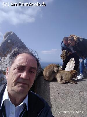 [P17]  -- <small>// FĂRĂ DESCRIERE</small> » foto by viorelgeorgescu
 - 
<span class="allrVoted glyphicon glyphicon-heart hidden" id="av1151016"></span>
<a class="m-l-10 hidden" id="sv1151016" onclick="voting_Foto_DelVot(,1151016,26222)" role="button">șterge vot <span class="glyphicon glyphicon-remove"></span></a>
<a id="v91151016" class=" c-red"  onclick="voting_Foto_SetVot(1151016)" role="button"><span class="glyphicon glyphicon-heart-empty"></span> <b>LIKE</b> = Votează poza</a> <img class="hidden"  id="f1151016W9" src="/imagini/loader.gif" border="0" /><span class="AjErrMes hidden" id="e1151016ErM"></span>