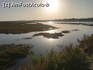 [P22] Rezervația Ria Formosa » foto by Mika
 - 
<span class="allrVoted glyphicon glyphicon-heart hidden" id="av1154146"></span>
<a class="m-l-10 hidden" id="sv1154146" onclick="voting_Foto_DelVot(,1154146,26242)" role="button">șterge vot <span class="glyphicon glyphicon-remove"></span></a>
<a id="v91154146" class=" c-red"  onclick="voting_Foto_SetVot(1154146)" role="button"><span class="glyphicon glyphicon-heart-empty"></span> <b>LIKE</b> = Votează poza</a> <img class="hidden"  id="f1154146W9" src="/imagini/loader.gif" border="0" /><span class="AjErrMes hidden" id="e1154146ErM"></span>