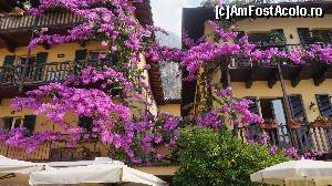 [P02] Farmecul plantelor ornamentale sporeşte valoarea construcţiilor » foto by GIN2015*
 - 
<span class="allrVoted glyphicon glyphicon-heart hidden" id="av646782"></span>
<a class="m-l-10 hidden" id="sv646782" onclick="voting_Foto_DelVot(,646782,26248)" role="button">șterge vot <span class="glyphicon glyphicon-remove"></span></a>
<a id="v9646782" class=" c-red"  onclick="voting_Foto_SetVot(646782)" role="button"><span class="glyphicon glyphicon-heart-empty"></span> <b>LIKE</b> = Votează poza</a> <img class="hidden"  id="f646782W9" src="/imagini/loader.gif" border="0" /><span class="AjErrMes hidden" id="e646782ErM"></span>