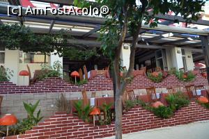 [P16] Taverna rhodosiana, cu specific pescaresc, doar ca un platou pentru doua persoane era 60de euro » foto by Dorina9
 - 
<span class="allrVoted glyphicon glyphicon-heart hidden" id="av1154807"></span>
<a class="m-l-10 hidden" id="sv1154807" onclick="voting_Foto_DelVot(,1154807,26254)" role="button">șterge vot <span class="glyphicon glyphicon-remove"></span></a>
<a id="v91154807" class=" c-red"  onclick="voting_Foto_SetVot(1154807)" role="button"><span class="glyphicon glyphicon-heart-empty"></span> <b>LIKE</b> = Votează poza</a> <img class="hidden"  id="f1154807W9" src="/imagini/loader.gif" border="0" /><span class="AjErrMes hidden" id="e1154807ErM"></span>