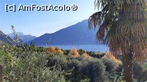 [P11] Vedere din balconul camerei » foto by BOGDAN DSN
 - 
<span class="allrVoted glyphicon glyphicon-heart hidden" id="av1155073"></span>
<a class="m-l-10 hidden" id="sv1155073" onclick="voting_Foto_DelVot(,1155073,26255)" role="button">șterge vot <span class="glyphicon glyphicon-remove"></span></a>
<a id="v91155073" class=" c-red"  onclick="voting_Foto_SetVot(1155073)" role="button"><span class="glyphicon glyphicon-heart-empty"></span> <b>LIKE</b> = Votează poza</a> <img class="hidden"  id="f1155073W9" src="/imagini/loader.gif" border="0" /><span class="AjErrMes hidden" id="e1155073ErM"></span>