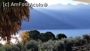 [P12] Palmierul este cam gălbejit » foto by BOGDAN DSN
 - 
<span class="allrVoted glyphicon glyphicon-heart hidden" id="av1155075"></span>
<a class="m-l-10 hidden" id="sv1155075" onclick="voting_Foto_DelVot(,1155075,26255)" role="button">șterge vot <span class="glyphicon glyphicon-remove"></span></a>
<a id="v91155075" class=" c-red"  onclick="voting_Foto_SetVot(1155075)" role="button"><span class="glyphicon glyphicon-heart-empty"></span> <b>LIKE</b> = Votează poza</a> <img class="hidden"  id="f1155075W9" src="/imagini/loader.gif" border="0" /><span class="AjErrMes hidden" id="e1155075ErM"></span>