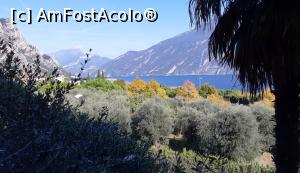 [P02] Lângă hotel este o plantație de măslini » foto by BOGDAN DSN
 - 
<span class="allrVoted glyphicon glyphicon-heart hidden" id="av1155059"></span>
<a class="m-l-10 hidden" id="sv1155059" onclick="voting_Foto_DelVot(,1155059,26255)" role="button">șterge vot <span class="glyphicon glyphicon-remove"></span></a>
<a id="v91155059" class=" c-red"  onclick="voting_Foto_SetVot(1155059)" role="button"><span class="glyphicon glyphicon-heart-empty"></span> <b>LIKE</b> = Votează poza</a> <img class="hidden"  id="f1155059W9" src="/imagini/loader.gif" border="0" /><span class="AjErrMes hidden" id="e1155059ErM"></span>