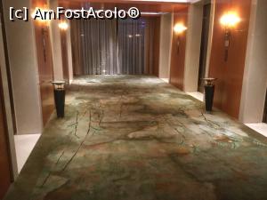 [P31] Hotel Sheraton - Holul la coborarea din lift, ti se afundau talpile in el » foto by mishu
 - 
<span class="allrVoted glyphicon glyphicon-heart hidden" id="av1156139"></span>
<a class="m-l-10 hidden" id="sv1156139" onclick="voting_Foto_DelVot(,1156139,26262)" role="button">șterge vot <span class="glyphicon glyphicon-remove"></span></a>
<a id="v91156139" class=" c-red"  onclick="voting_Foto_SetVot(1156139)" role="button"><span class="glyphicon glyphicon-heart-empty"></span> <b>LIKE</b> = Votează poza</a> <img class="hidden"  id="f1156139W9" src="/imagini/loader.gif" border="0" /><span class="AjErrMes hidden" id="e1156139ErM"></span>