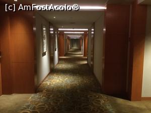 [P32] Hotel Sheraton - Holul catre camera, a mea era cam la capat » foto by mishu
 - 
<span class="allrVoted glyphicon glyphicon-heart hidden" id="av1156140"></span>
<a class="m-l-10 hidden" id="sv1156140" onclick="voting_Foto_DelVot(,1156140,26262)" role="button">șterge vot <span class="glyphicon glyphicon-remove"></span></a>
<a id="v91156140" class=" c-red"  onclick="voting_Foto_SetVot(1156140)" role="button"><span class="glyphicon glyphicon-heart-empty"></span> <b>LIKE</b> = Votează poza</a> <img class="hidden"  id="f1156140W9" src="/imagini/loader.gif" border="0" /><span class="AjErrMes hidden" id="e1156140ErM"></span>