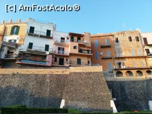 [P10] Nettuno » foto by Nicu
 - 
<span class="allrVoted glyphicon glyphicon-heart hidden" id="av1156911"></span>
<a class="m-l-10 hidden" id="sv1156911" onclick="voting_Foto_DelVot(,1156911,26272)" role="button">șterge vot <span class="glyphicon glyphicon-remove"></span></a>
<a id="v91156911" class=" c-red"  onclick="voting_Foto_SetVot(1156911)" role="button"><span class="glyphicon glyphicon-heart-empty"></span> <b>LIKE</b> = Votează poza</a> <img class="hidden"  id="f1156911W9" src="/imagini/loader.gif" border="0" /><span class="AjErrMes hidden" id="e1156911ErM"></span>