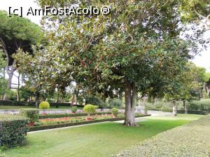 [P05] Cimitirul » foto by Nicu
 - 
<span class="allrVoted glyphicon glyphicon-heart hidden" id="av1157576"></span>
<a class="m-l-10 hidden" id="sv1157576" onclick="voting_Foto_DelVot(,1157576,26272)" role="button">șterge vot <span class="glyphicon glyphicon-remove"></span></a>
<a id="v91157576" class=" c-red"  onclick="voting_Foto_SetVot(1157576)" role="button"><span class="glyphicon glyphicon-heart-empty"></span> <b>LIKE</b> = Votează poza</a> <img class="hidden"  id="f1157576W9" src="/imagini/loader.gif" border="0" /><span class="AjErrMes hidden" id="e1157576ErM"></span>