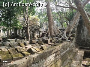 [P02] Beng Mealea » foto by Pușcașu Marin
 - 
<span class="allrVoted glyphicon glyphicon-heart hidden" id="av1389977"></span>
<a class="m-l-10 hidden" id="sv1389977" onclick="voting_Foto_DelVot(,1389977,26302)" role="button">șterge vot <span class="glyphicon glyphicon-remove"></span></a>
<a id="v91389977" class=" c-red"  onclick="voting_Foto_SetVot(1389977)" role="button"><span class="glyphicon glyphicon-heart-empty"></span> <b>LIKE</b> = Votează poza</a> <img class="hidden"  id="f1389977W9" src="/imagini/loader.gif" border="0" /><span class="AjErrMes hidden" id="e1389977ErM"></span>