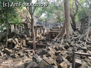 [P03] Beng Mealea » foto by Pușcașu Marin
 - 
<span class="allrVoted glyphicon glyphicon-heart hidden" id="av1389978"></span>
<a class="m-l-10 hidden" id="sv1389978" onclick="voting_Foto_DelVot(,1389978,26302)" role="button">șterge vot <span class="glyphicon glyphicon-remove"></span></a>
<a id="v91389978" class=" c-red"  onclick="voting_Foto_SetVot(1389978)" role="button"><span class="glyphicon glyphicon-heart-empty"></span> <b>LIKE</b> = Votează poza</a> <img class="hidden"  id="f1389978W9" src="/imagini/loader.gif" border="0" /><span class="AjErrMes hidden" id="e1389978ErM"></span>