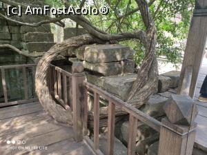 [P09] Beng Mealea » foto by Pușcașu Marin
 - 
<span class="allrVoted glyphicon glyphicon-heart hidden" id="av1389984"></span>
<a class="m-l-10 hidden" id="sv1389984" onclick="voting_Foto_DelVot(,1389984,26302)" role="button">șterge vot <span class="glyphicon glyphicon-remove"></span></a>
<a id="v91389984" class=" c-red"  onclick="voting_Foto_SetVot(1389984)" role="button"><span class="glyphicon glyphicon-heart-empty"></span> <b>LIKE</b> = Votează poza</a> <img class="hidden"  id="f1389984W9" src="/imagini/loader.gif" border="0" /><span class="AjErrMes hidden" id="e1389984ErM"></span>