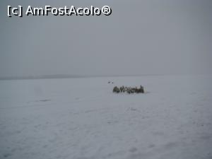 [P02] Volga înghețată cât vezi cu ochii » foto by Marius 72
 - 
<span class="allrVoted glyphicon glyphicon-heart hidden" id="av1161536"></span>
<a class="m-l-10 hidden" id="sv1161536" onclick="voting_Foto_DelVot(,1161536,26305)" role="button">șterge vot <span class="glyphicon glyphicon-remove"></span></a>
<a id="v91161536" class=" c-red"  onclick="voting_Foto_SetVot(1161536)" role="button"><span class="glyphicon glyphicon-heart-empty"></span> <b>LIKE</b> = Votează poza</a> <img class="hidden"  id="f1161536W9" src="/imagini/loader.gif" border="0" /><span class="AjErrMes hidden" id="e1161536ErM"></span>