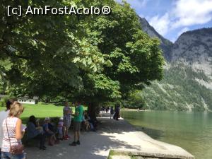 [P24] Konigsee - o alta placere, se te plimbi pe langa lac, sa te odihnesti pe o banca » foto by mishu
 - 
<span class="allrVoted glyphicon glyphicon-heart hidden" id="av1163095"></span>
<a class="m-l-10 hidden" id="sv1163095" onclick="voting_Foto_DelVot(,1163095,26314)" role="button">șterge vot <span class="glyphicon glyphicon-remove"></span></a>
<a id="v91163095" class=" c-red"  onclick="voting_Foto_SetVot(1163095)" role="button"><span class="glyphicon glyphicon-heart-empty"></span> <b>LIKE</b> = Votează poza</a> <img class="hidden"  id="f1163095W9" src="/imagini/loader.gif" border="0" /><span class="AjErrMes hidden" id="e1163095ErM"></span>