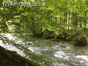 [P52] Konigsee -si va puteti plimba si prin zona, aveti ce vedea » foto by mishu
 - 
<span class="allrVoted glyphicon glyphicon-heart hidden" id="av1163123"></span>
<a class="m-l-10 hidden" id="sv1163123" onclick="voting_Foto_DelVot(,1163123,26314)" role="button">șterge vot <span class="glyphicon glyphicon-remove"></span></a>
<a id="v91163123" class=" c-red"  onclick="voting_Foto_SetVot(1163123)" role="button"><span class="glyphicon glyphicon-heart-empty"></span> <b>LIKE</b> = Votează poza</a> <img class="hidden"  id="f1163123W9" src="/imagini/loader.gif" border="0" /><span class="AjErrMes hidden" id="e1163123ErM"></span>