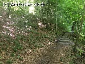 [P16] Drumul este "amenajat" asa incat sa poata parea usor, dar daca nu ai conditie fizica, o iei mai usor » foto by mishu
 - 
<span class="allrVoted glyphicon glyphicon-heart hidden" id="av1164862"></span>
<a class="m-l-10 hidden" id="sv1164862" onclick="voting_Foto_DelVot(,1164862,26327)" role="button">șterge vot <span class="glyphicon glyphicon-remove"></span></a>
<a id="v91164862" class=" c-red"  onclick="voting_Foto_SetVot(1164862)" role="button"><span class="glyphicon glyphicon-heart-empty"></span> <b>LIKE</b> = Votează poza</a> <img class="hidden"  id="f1164862W9" src="/imagini/loader.gif" border="0" /><span class="AjErrMes hidden" id="e1164862ErM"></span>
