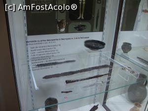[P13] În această vitrină sunt expuse arme descoperite în necropola nr. 2 de la Pietroasele.  » foto by Floryn81
 - 
<span class="allrVoted glyphicon glyphicon-heart hidden" id="av818067"></span>
<a class="m-l-10 hidden" id="sv818067" onclick="voting_Foto_DelVot(,818067,26354)" role="button">șterge vot <span class="glyphicon glyphicon-remove"></span></a>
<a id="v9818067" class=" c-red"  onclick="voting_Foto_SetVot(818067)" role="button"><span class="glyphicon glyphicon-heart-empty"></span> <b>LIKE</b> = Votează poza</a> <img class="hidden"  id="f818067W9" src="/imagini/loader.gif" border="0" /><span class="AjErrMes hidden" id="e818067ErM"></span>