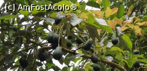 [P21] Cascadele Algar – spectaculoase într-o zi cu ploaie - avocado » foto by nicole33
 - 
<span class="allrVoted glyphicon glyphicon-heart hidden" id="av1168690"></span>
<a class="m-l-10 hidden" id="sv1168690" onclick="voting_Foto_DelVot(,1168690,26360)" role="button">șterge vot <span class="glyphicon glyphicon-remove"></span></a>
<a id="v91168690" class=" c-red"  onclick="voting_Foto_SetVot(1168690)" role="button"><span class="glyphicon glyphicon-heart-empty"></span> <b>LIKE</b> = Votează poza</a> <img class="hidden"  id="f1168690W9" src="/imagini/loader.gif" border="0" /><span class="AjErrMes hidden" id="e1168690ErM"></span>