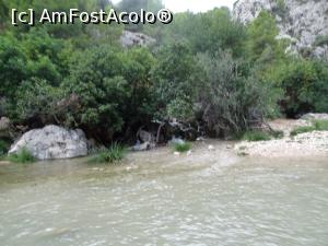 [P58] Cascadele Algar – spectaculoase într-o zi cu ploaie » foto by nicole33
 - 
<span class="allrVoted glyphicon glyphicon-heart hidden" id="av1168727"></span>
<a class="m-l-10 hidden" id="sv1168727" onclick="voting_Foto_DelVot(,1168727,26360)" role="button">șterge vot <span class="glyphicon glyphicon-remove"></span></a>
<a id="v91168727" class=" c-red"  onclick="voting_Foto_SetVot(1168727)" role="button"><span class="glyphicon glyphicon-heart-empty"></span> <b>LIKE</b> = Votează poza</a> <img class="hidden"  id="f1168727W9" src="/imagini/loader.gif" border="0" /><span class="AjErrMes hidden" id="e1168727ErM"></span>