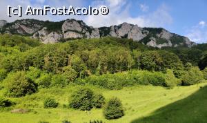 [P22] traseul tematic catre izvorul Cascadei Șipote, Salciua, Alba, poiana Sipote » foto by Dana2008
 - 
<span class="allrVoted glyphicon glyphicon-heart hidden" id="av1171784"></span>
<a class="m-l-10 hidden" id="sv1171784" onclick="voting_Foto_DelVot(,1171784,26390)" role="button">șterge vot <span class="glyphicon glyphicon-remove"></span></a>
<a id="v91171784" class=" c-red"  onclick="voting_Foto_SetVot(1171784)" role="button"><span class="glyphicon glyphicon-heart-empty"></span> <b>LIKE</b> = Votează poza</a> <img class="hidden"  id="f1171784W9" src="/imagini/loader.gif" border="0" /><span class="AjErrMes hidden" id="e1171784ErM"></span>