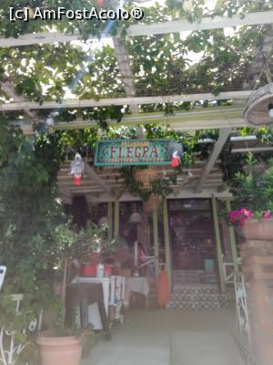 [P03] Polichrono - Intrarea la taverna Flegra. Cei doi papagali sunt atracția falezei. » foto by Daisy Petal
 - 
<span class="allrVoted glyphicon glyphicon-heart hidden" id="av1173680"></span>
<a class="m-l-10 hidden" id="sv1173680" onclick="voting_Foto_DelVot(,1173680,26412)" role="button">șterge vot <span class="glyphicon glyphicon-remove"></span></a>
<a id="v91173680" class=" c-red"  onclick="voting_Foto_SetVot(1173680)" role="button"><span class="glyphicon glyphicon-heart-empty"></span> <b>LIKE</b> = Votează poza</a> <img class="hidden"  id="f1173680W9" src="/imagini/loader.gif" border="0" /><span class="AjErrMes hidden" id="e1173680ErM"></span>