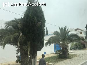[P41] Sidi Bou Saïd – frumosul orăşel alb – albastru din Tunisia » foto by nicole33
 - 
<span class="allrVoted glyphicon glyphicon-heart hidden" id="av1173919"></span>
<a class="m-l-10 hidden" id="sv1173919" onclick="voting_Foto_DelVot(,1173919,26417)" role="button">șterge vot <span class="glyphicon glyphicon-remove"></span></a>
<a id="v91173919" class=" c-red"  onclick="voting_Foto_SetVot(1173919)" role="button"><span class="glyphicon glyphicon-heart-empty"></span> <b>LIKE</b> = Votează poza</a> <img class="hidden"  id="f1173919W9" src="/imagini/loader.gif" border="0" /><span class="AjErrMes hidden" id="e1173919ErM"></span>